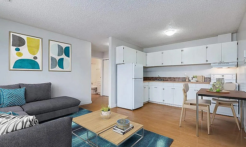 Modern Apartments Wi...