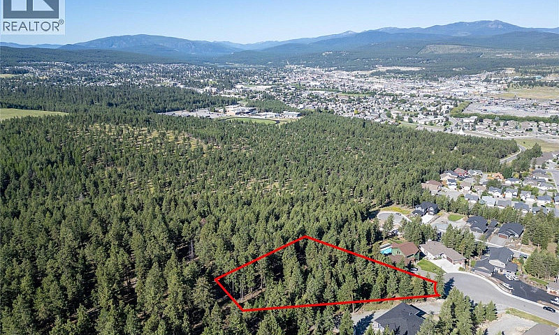 1502 Mount Royal Rid...