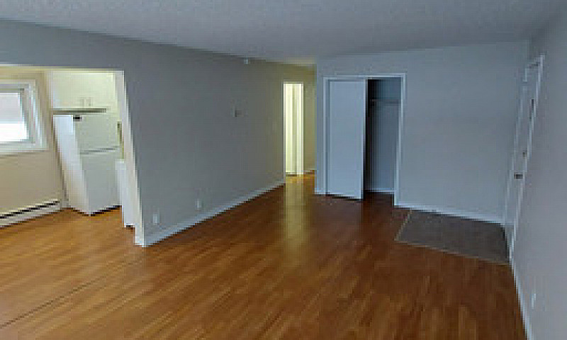 1 Bedroom Apartment ...