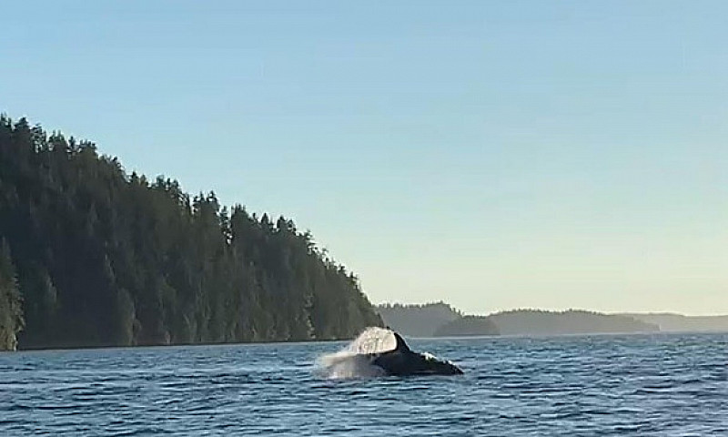 Lot 2 Nootka Island ...