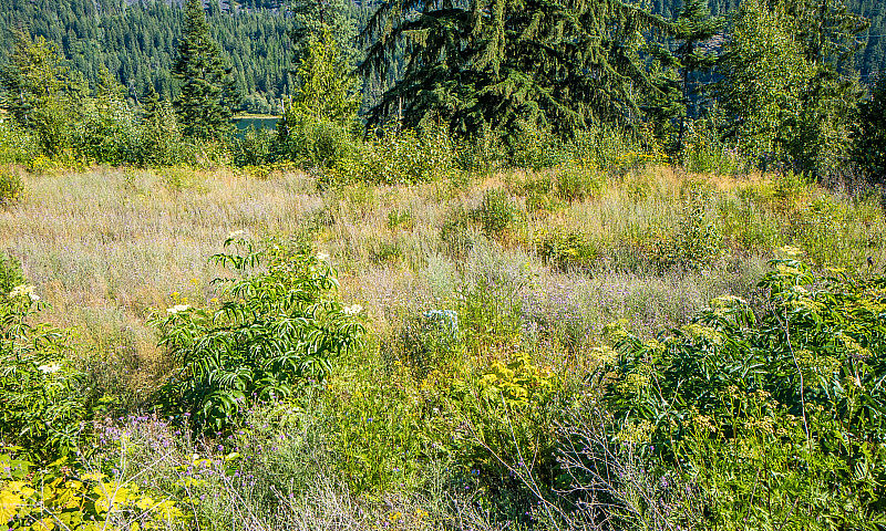 1.36 Acre Lot Just O...