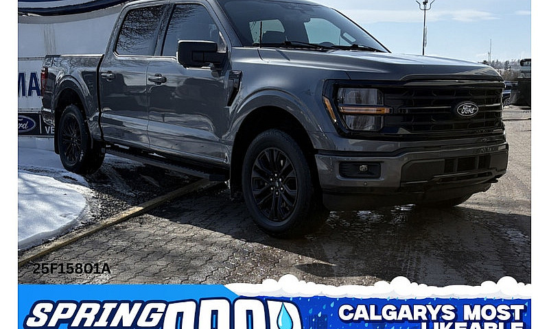 2024 Ford F-150 Xlt ...