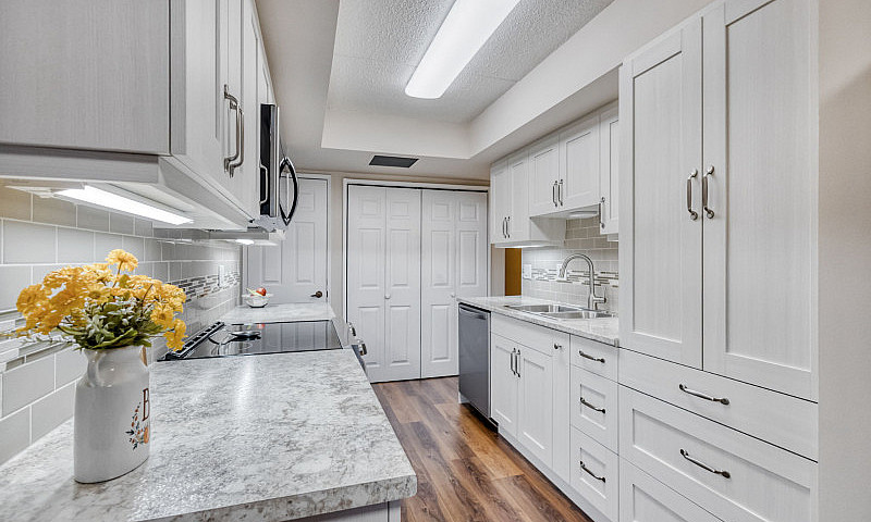 Pet-Friendly Condo I...