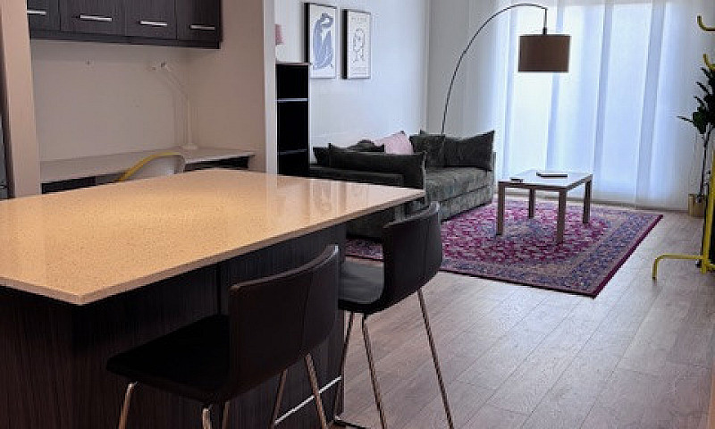 Fully Furnished 1+De...
