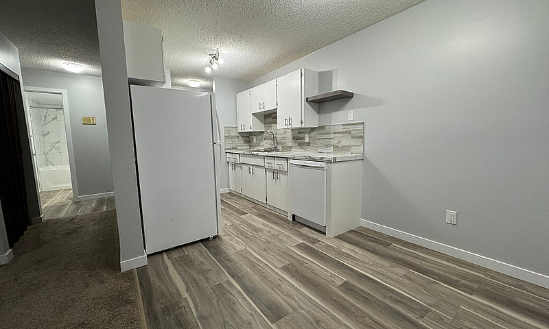 2 Weeks Free Renovat...