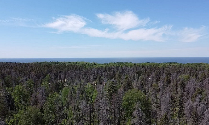 Stunning 1.09Acre Pr...