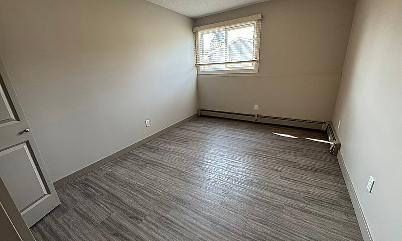 Cozy, Pet-Friendly G...