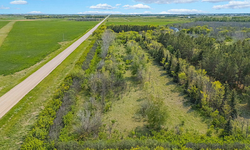 Serviced 10-Acre Tre...