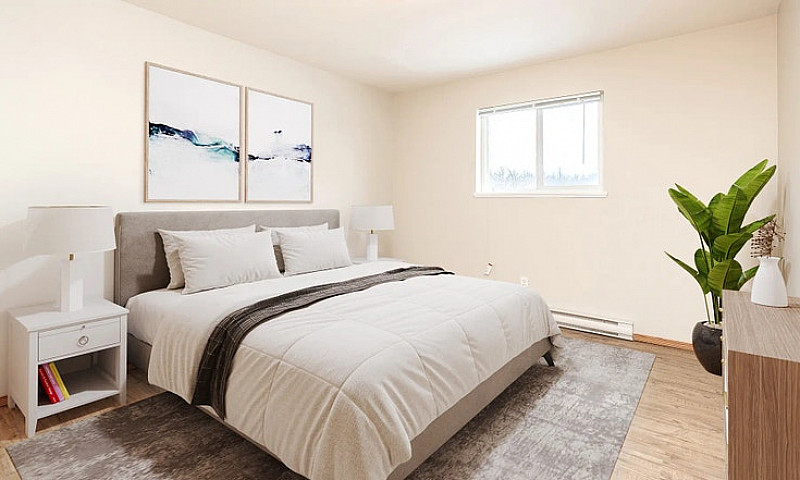 Pet-Friendly One Bed...