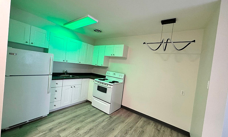 Renovated 1 Bd Apart...