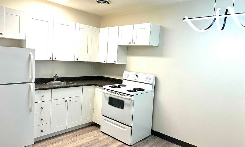Renovated 1 Bd Apart...