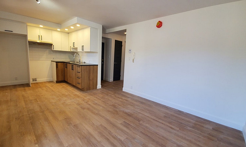 Superbe Logement Cen...
