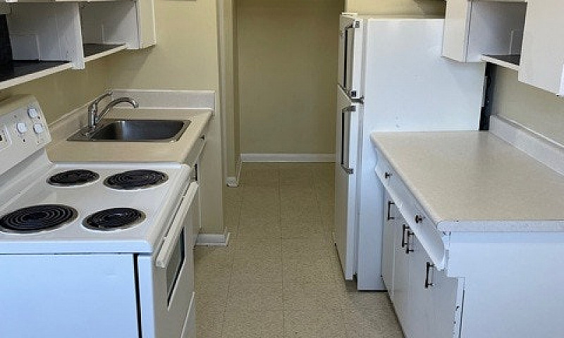 506 Balmoral - 1 Br ...