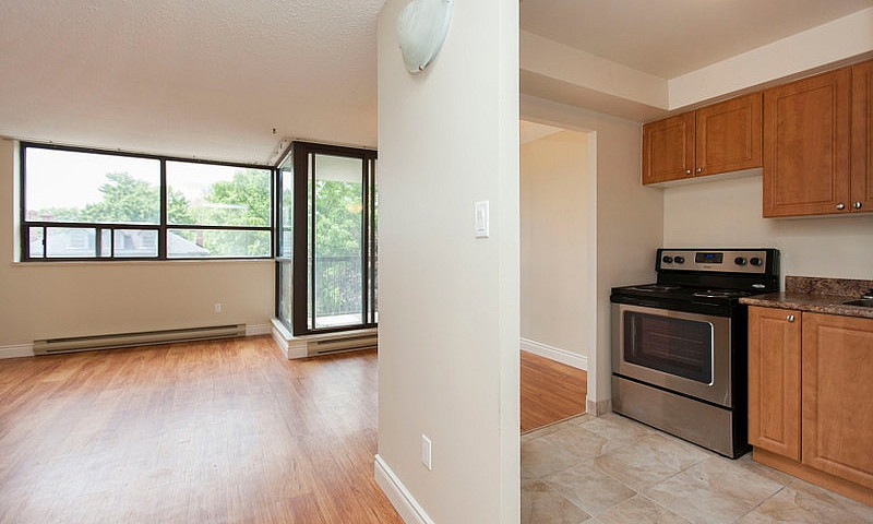 1 Bedroom Apartment ...
