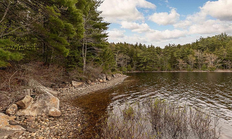 Black Rattle Lake – ...