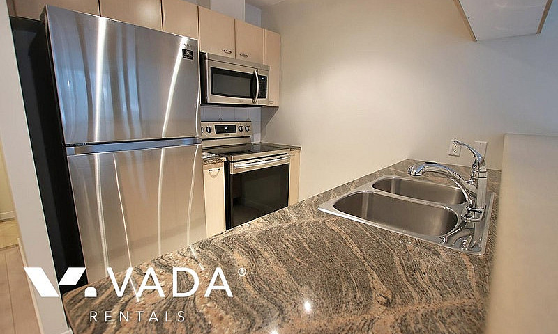 The Lions 1 Br Apt R...