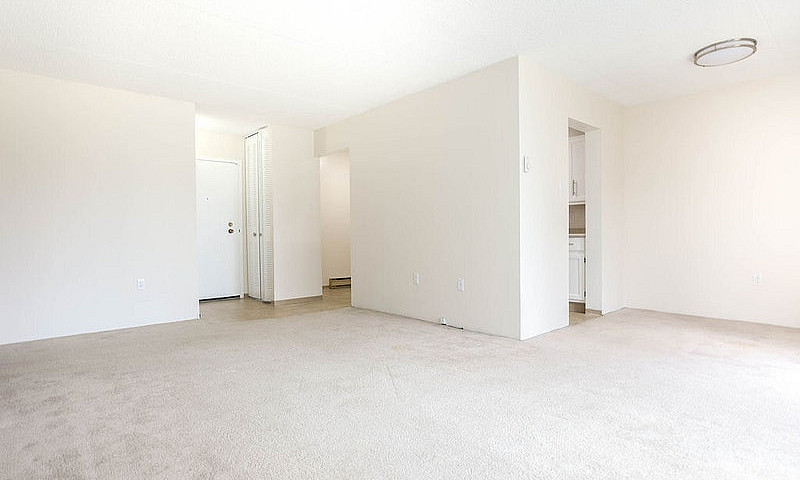 21 Roslyn Road - 2 B...