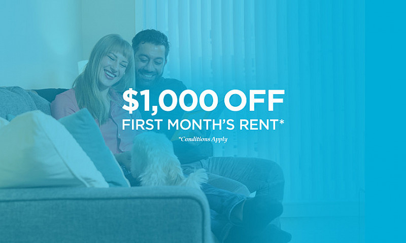 Pet-Friendly One Bed...