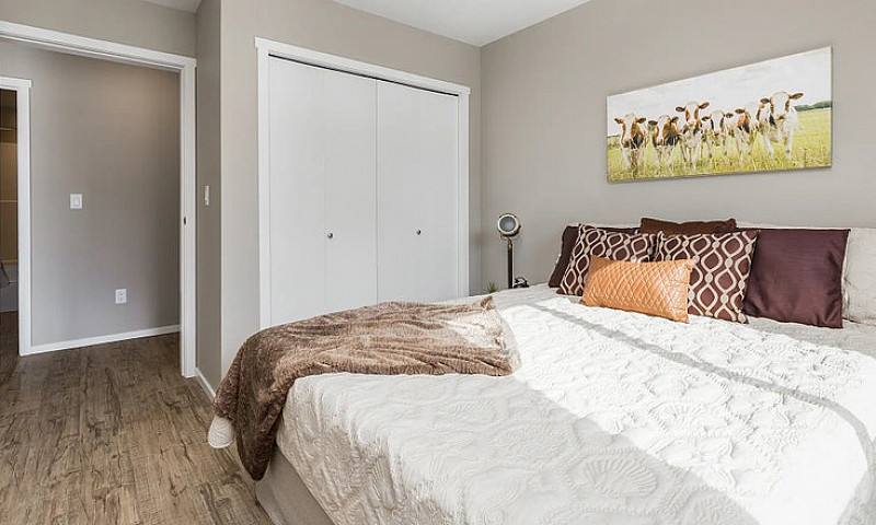Pet-Friendly Three B...