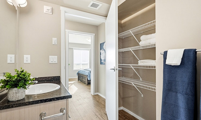 Pet-Friendly Three B...