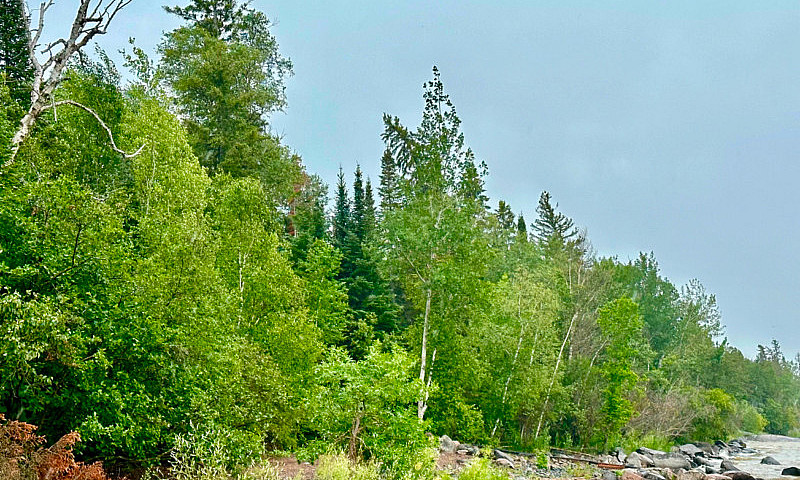 Waterfront Lot In Ma...