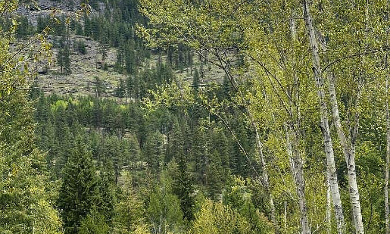 Highway 6 Lot# 4 Pas...