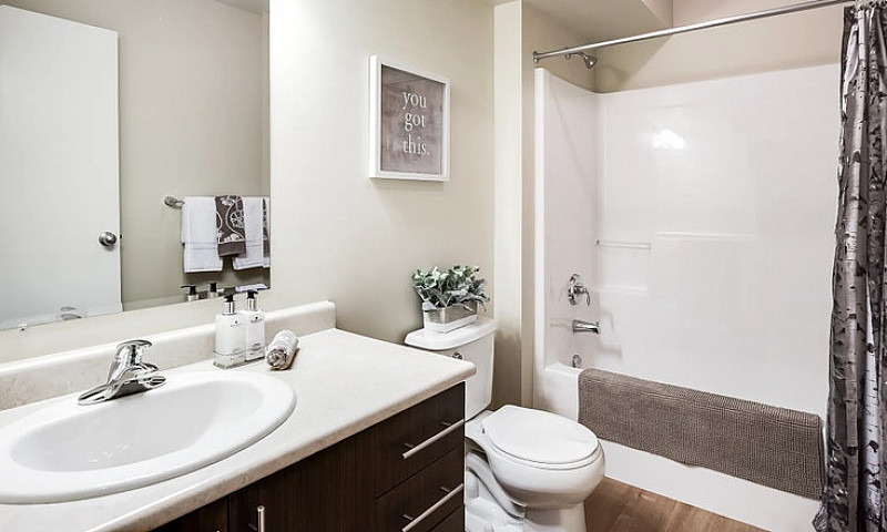 Pet-Friendly One Bed...