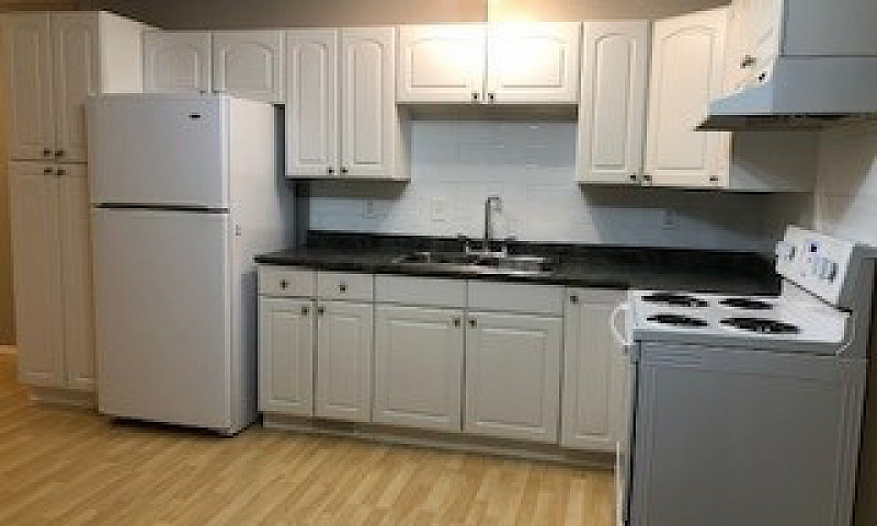 2 Bedroom Basement S...
