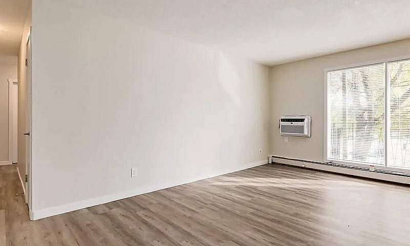 Modern Apartments Wi...