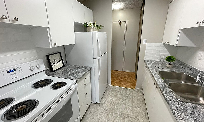 1 Bedroom Apartment ...