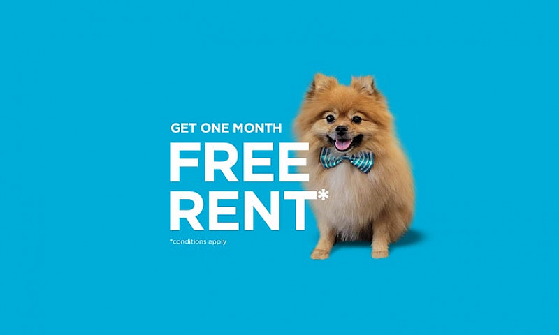 Pet-Friendly Three B...
