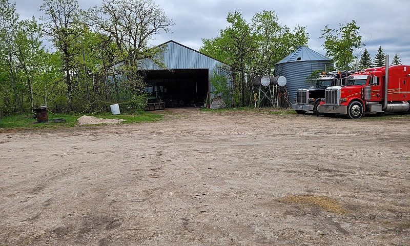 Cattle Ranch In Erik...