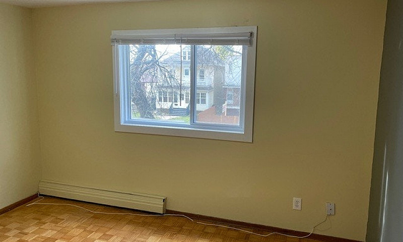 665 Maryland - 1 Br ...
