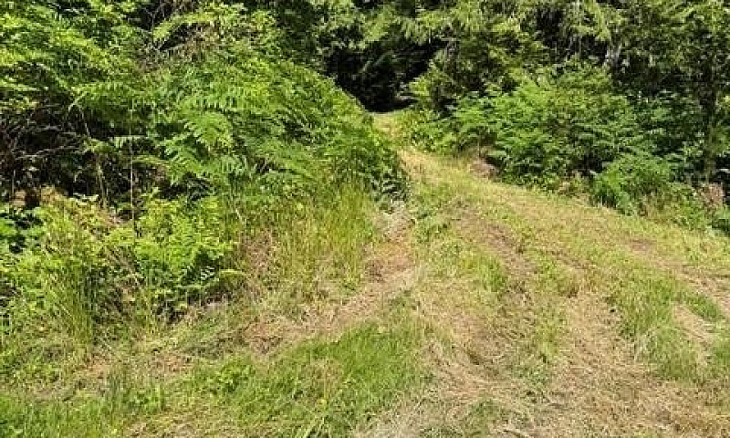 Lot 3 Palmer Rd Erri...