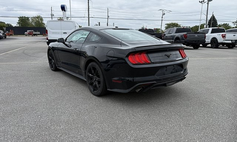 2019 Ford Mustang Ec...