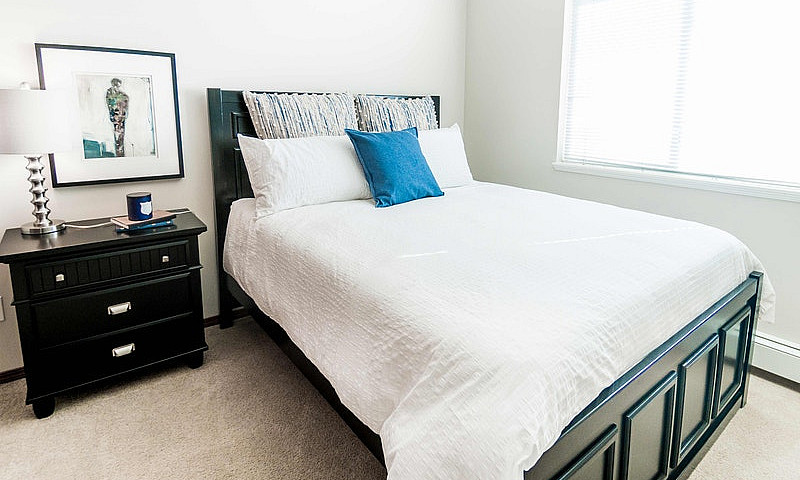 Pet-Friendly Three B...
