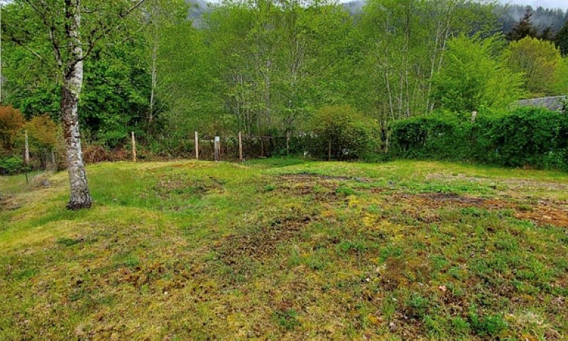 8 Freda Rd Tahsis, B...