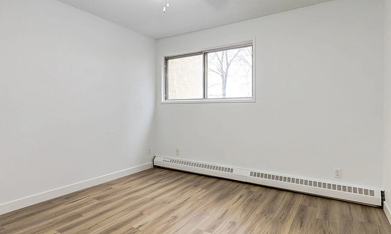 Spacious Apartments ...