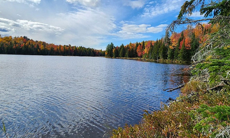 $699,999 - Land To B...