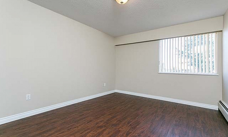 The Westport Apartme...