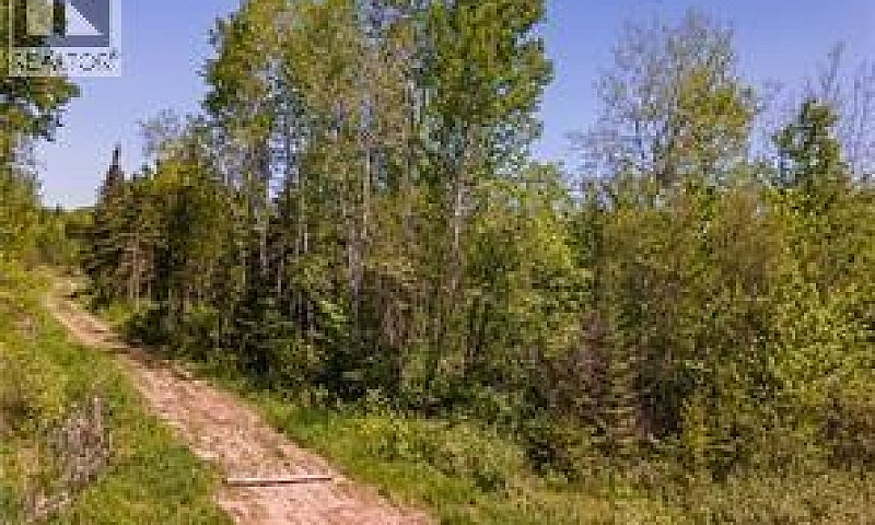 Lot Creek Road Berwi...