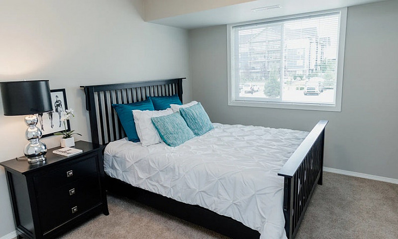 Pet-Friendly One Bed...