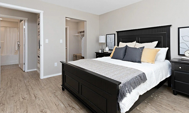 Pet-Friendly Two Bed...