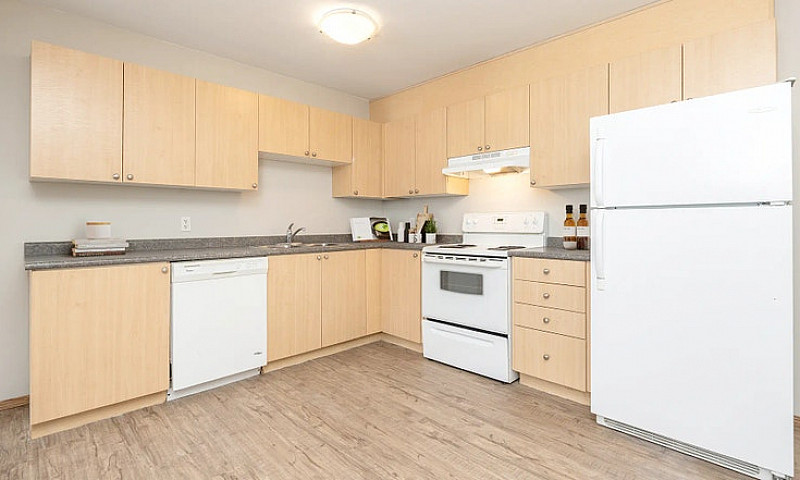 Pet-Friendly One Bed...
