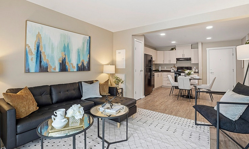 Pet-Friendly One Bed...