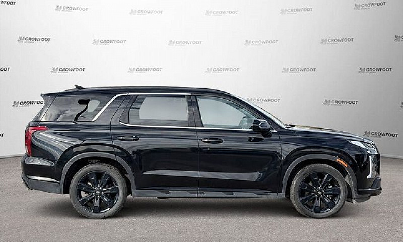 2025 Hyundai Palisad...