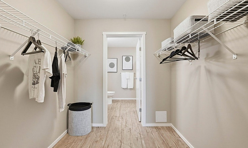 Pet-Friendly Three B...