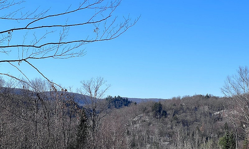 Terrains Pour Chalet...