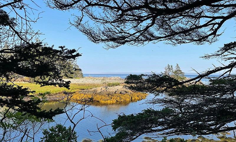Oceanfront Estate Si...