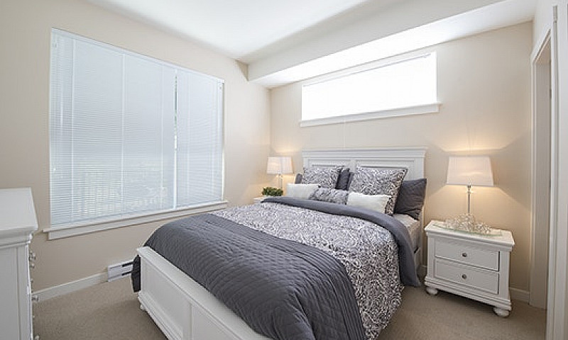 Bachelor Suites For ...